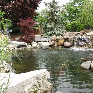 Meet your Posher, Myron